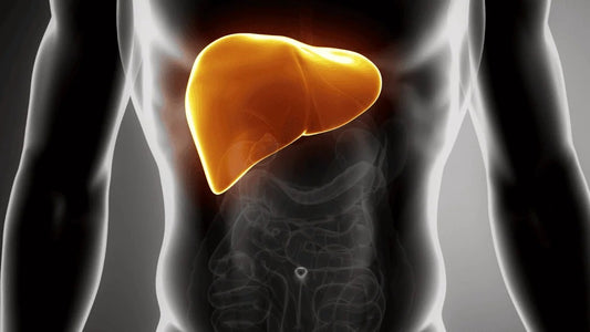 Fatty Liver? There is a Supplement for that!