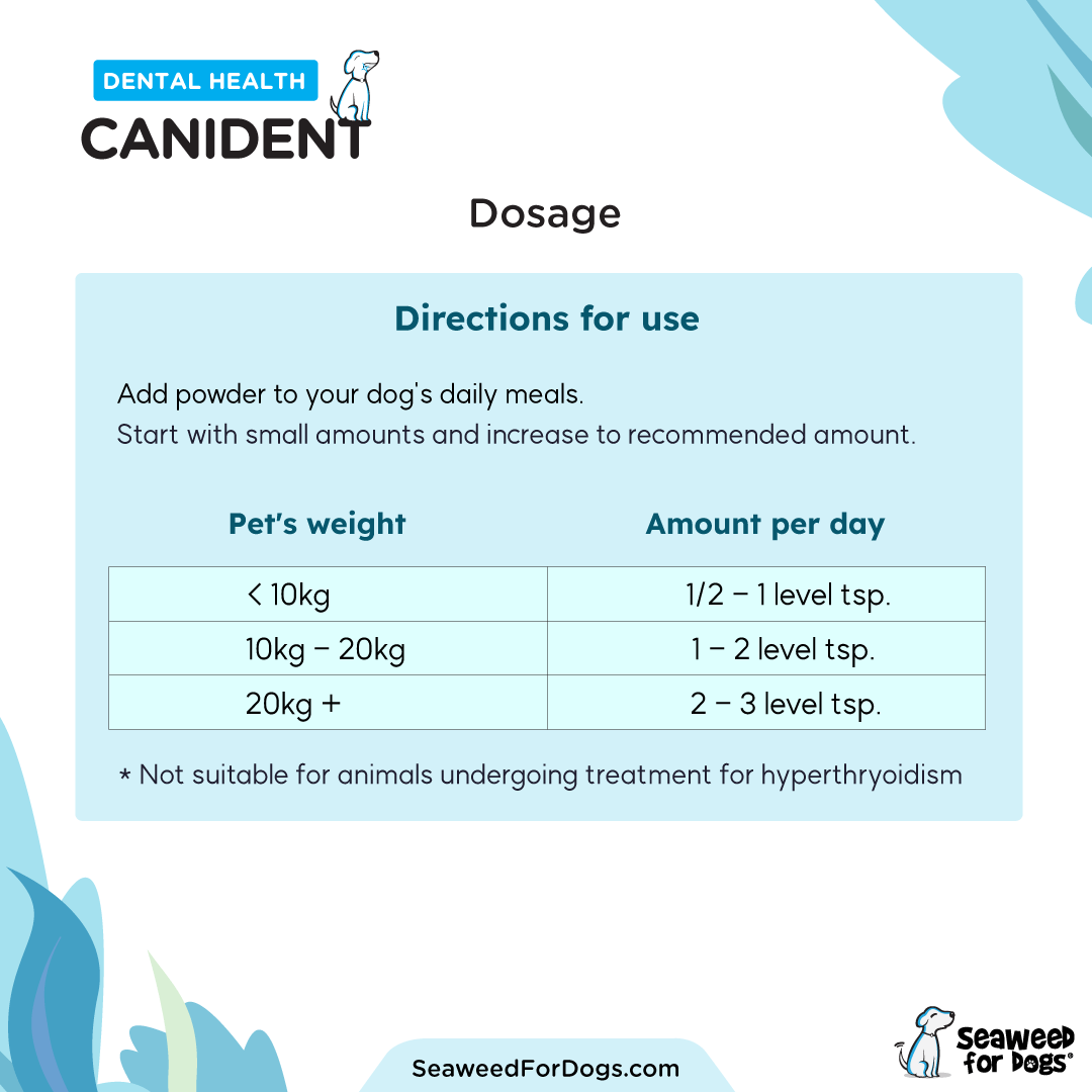 Canident | Clean Dogs Teeth, Fix Bad Breath and Remove Plaque