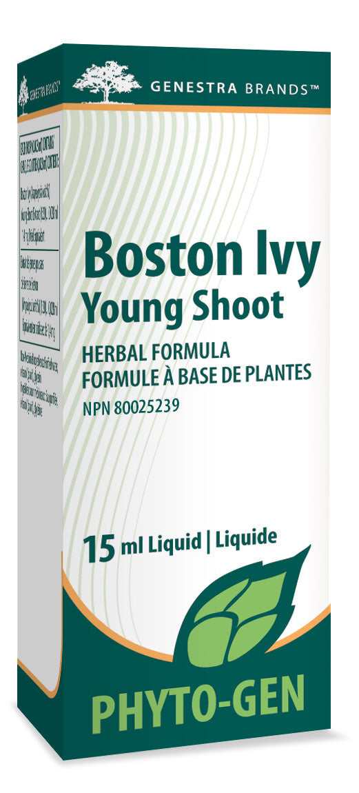 GENESTRA Boston Ivy Young Shoot (15 ml)